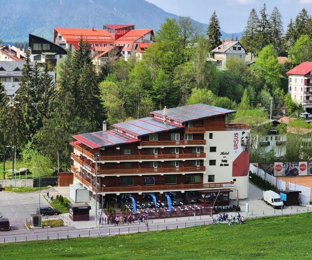 Cabana FulgDe Nea Predeal Exterior foto